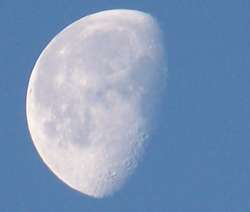 Another picture taken with 12x zoom and my Kodak z1012's day time landscape setting.
